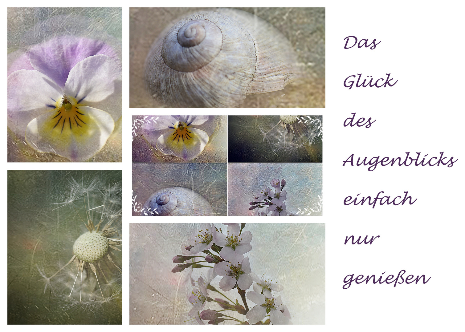 Das Glück des Augenblicks.... Foto & Bild art, spezial, composing