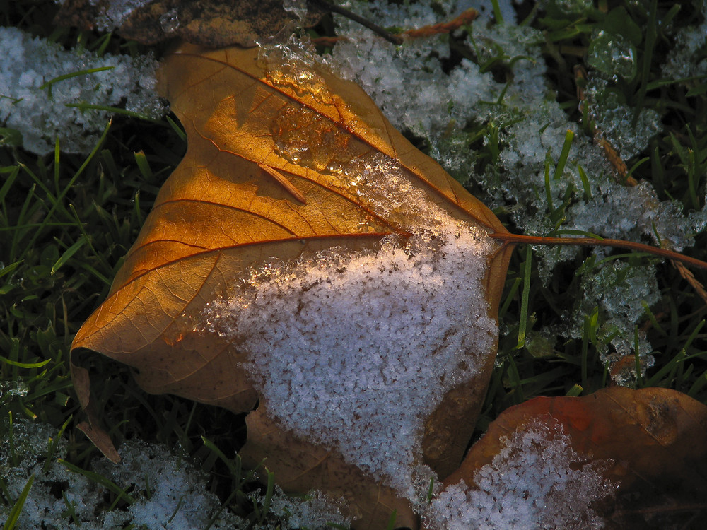 Das Glück eines Herbsttages