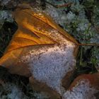 Das Glück eines Herbsttages