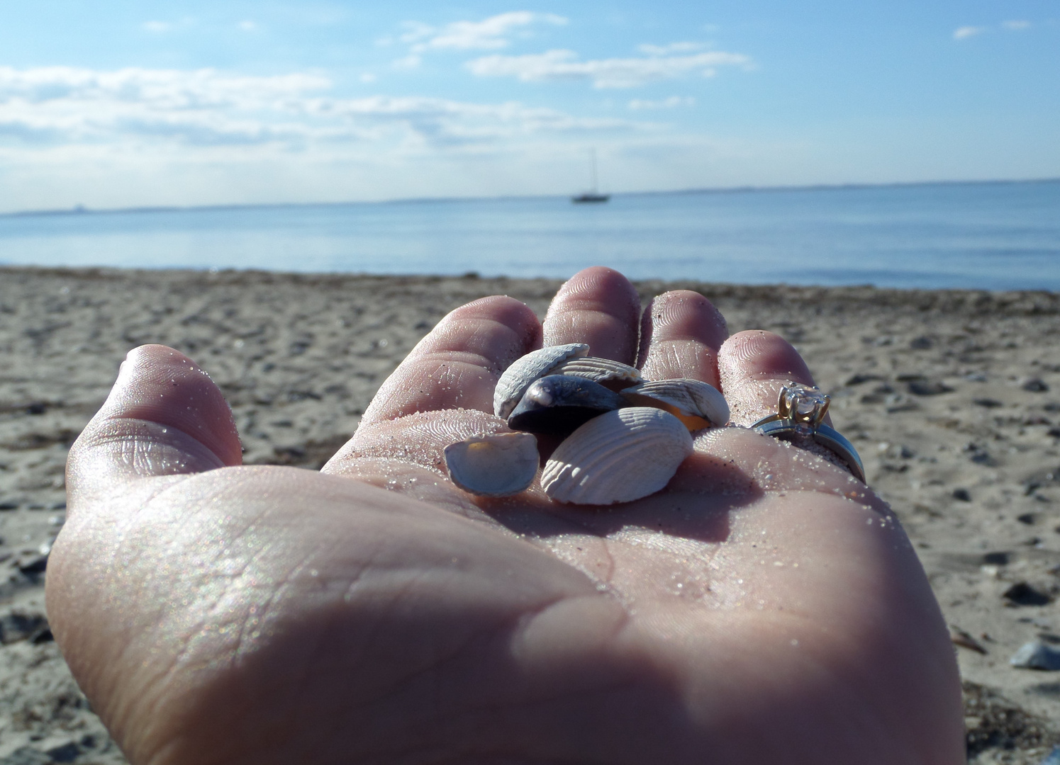 Das Glück liegt in deiner Hand 