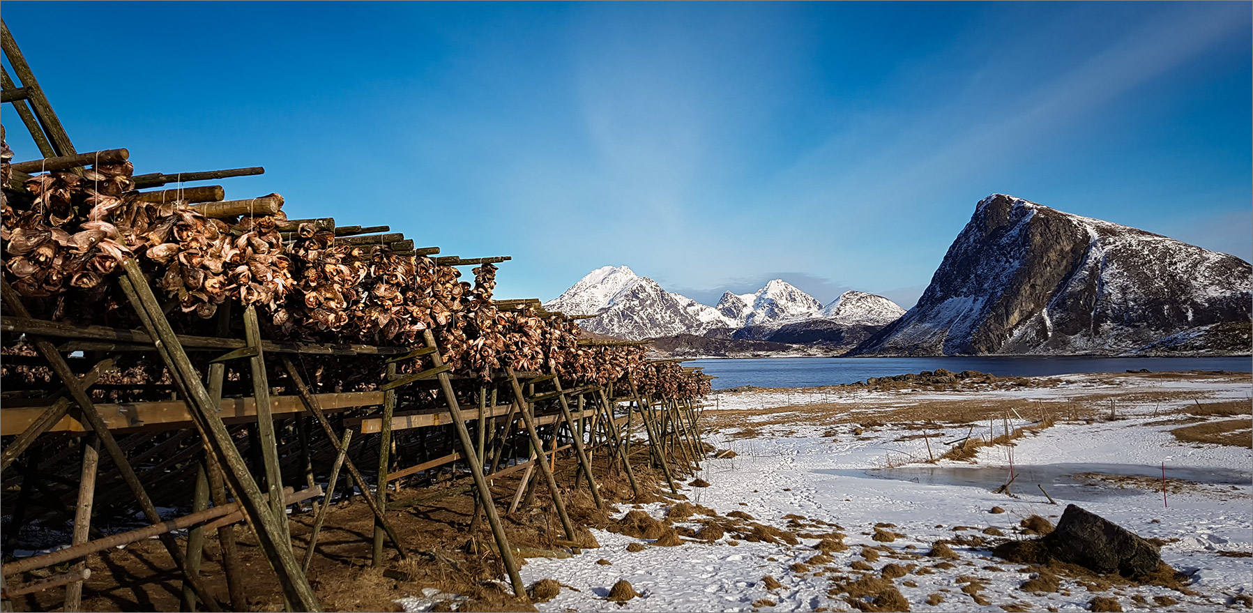 Das "Gold" der Lofoten   . . .