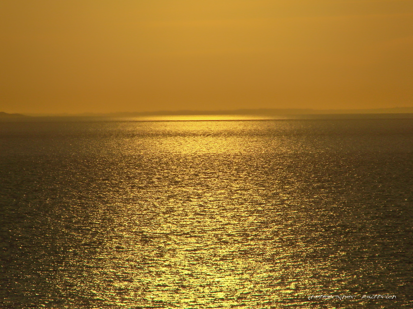 Das Gold der Nordsee....