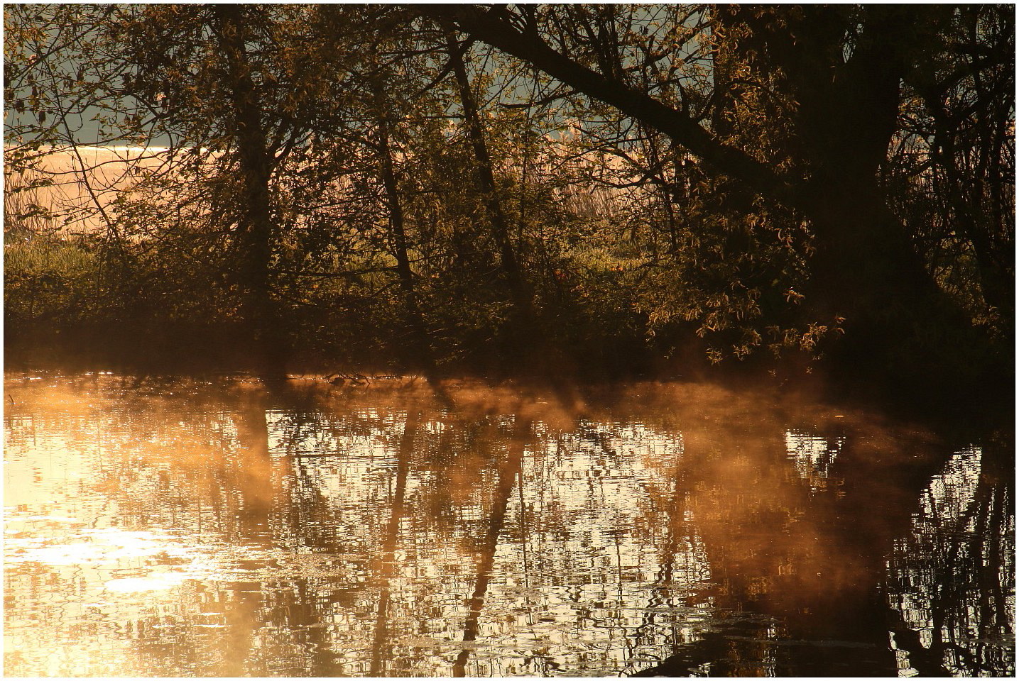 Das Gold der Sonne