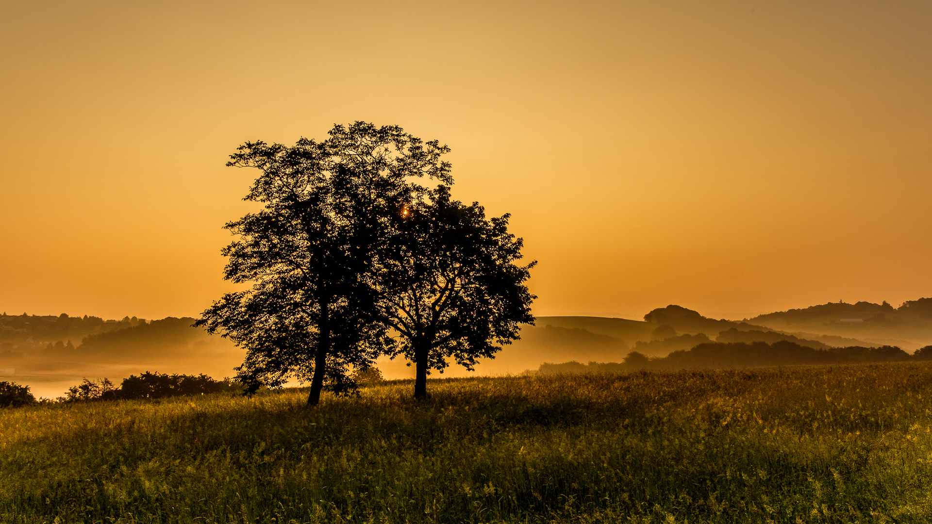 Das Gold der Sonne