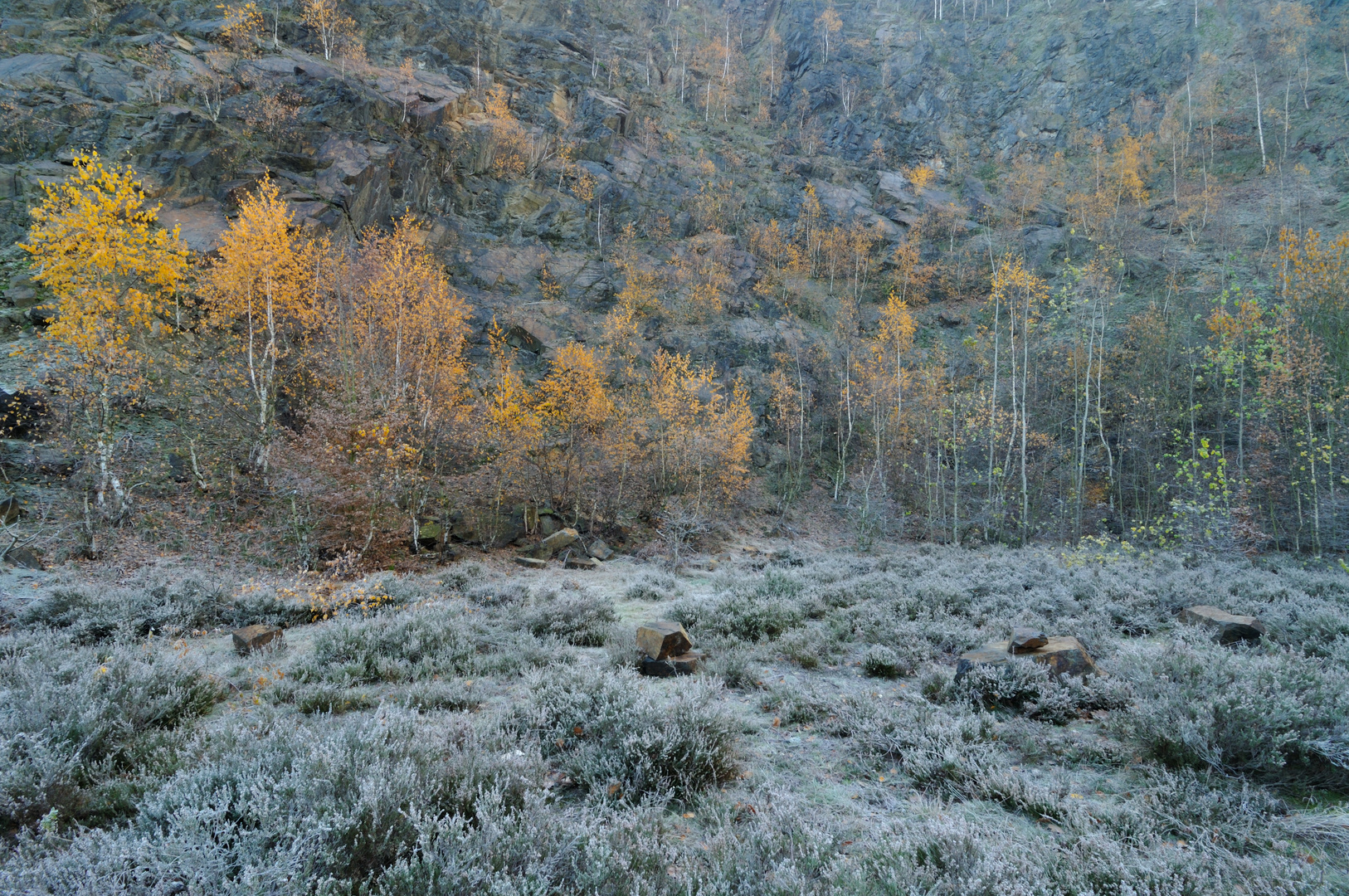 Das Gold des sagenumwobenen Blaubergs