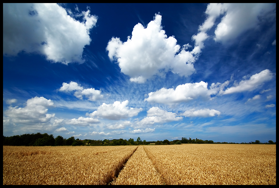 Das Gold unter dem Himmel