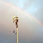 Das Gold unter dem Regenbogen