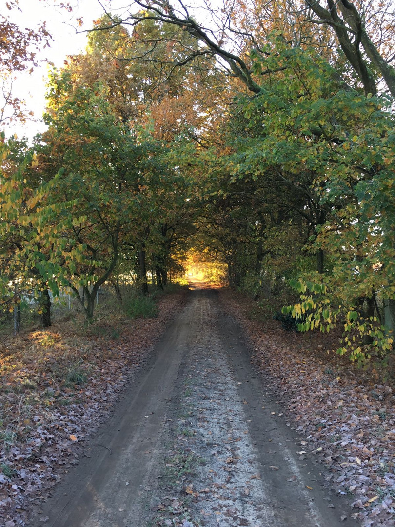 Das Golden Licht am Ende des Tunnels