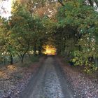 Das Golden Licht am Ende des Tunnels