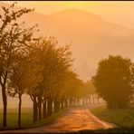 Das goldene Licht des Weserberglands... 