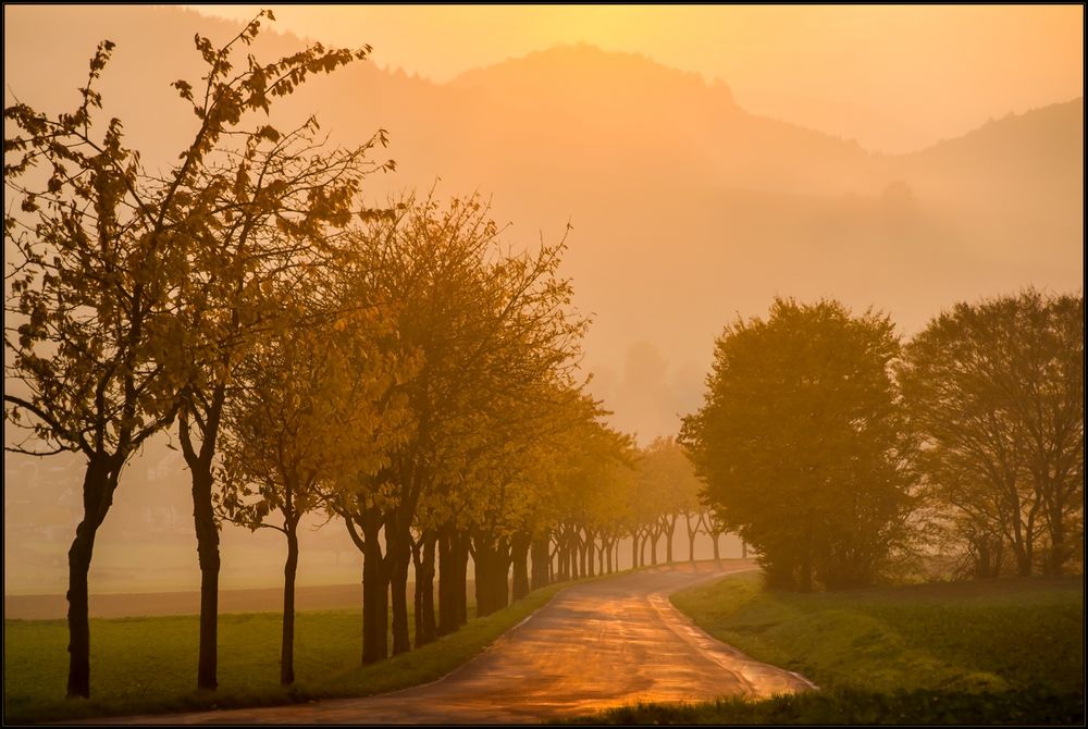 Das goldene Licht des Weserberglands... 