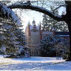 Das Gotische Haus im Winter