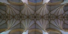 Das gotische Netz