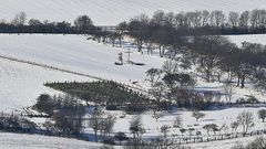 Das Grab auf dem Feld Ausschnitt