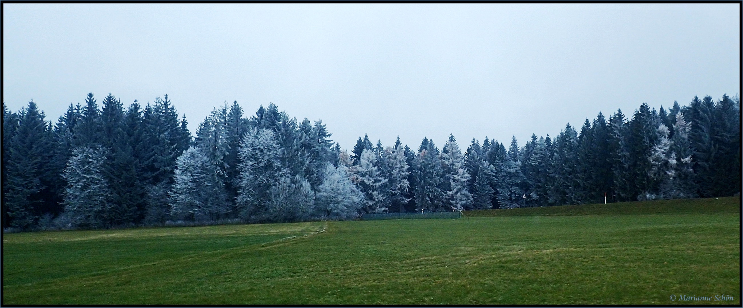 Das Gras war grün und der schwarze Wald wurde weiß...