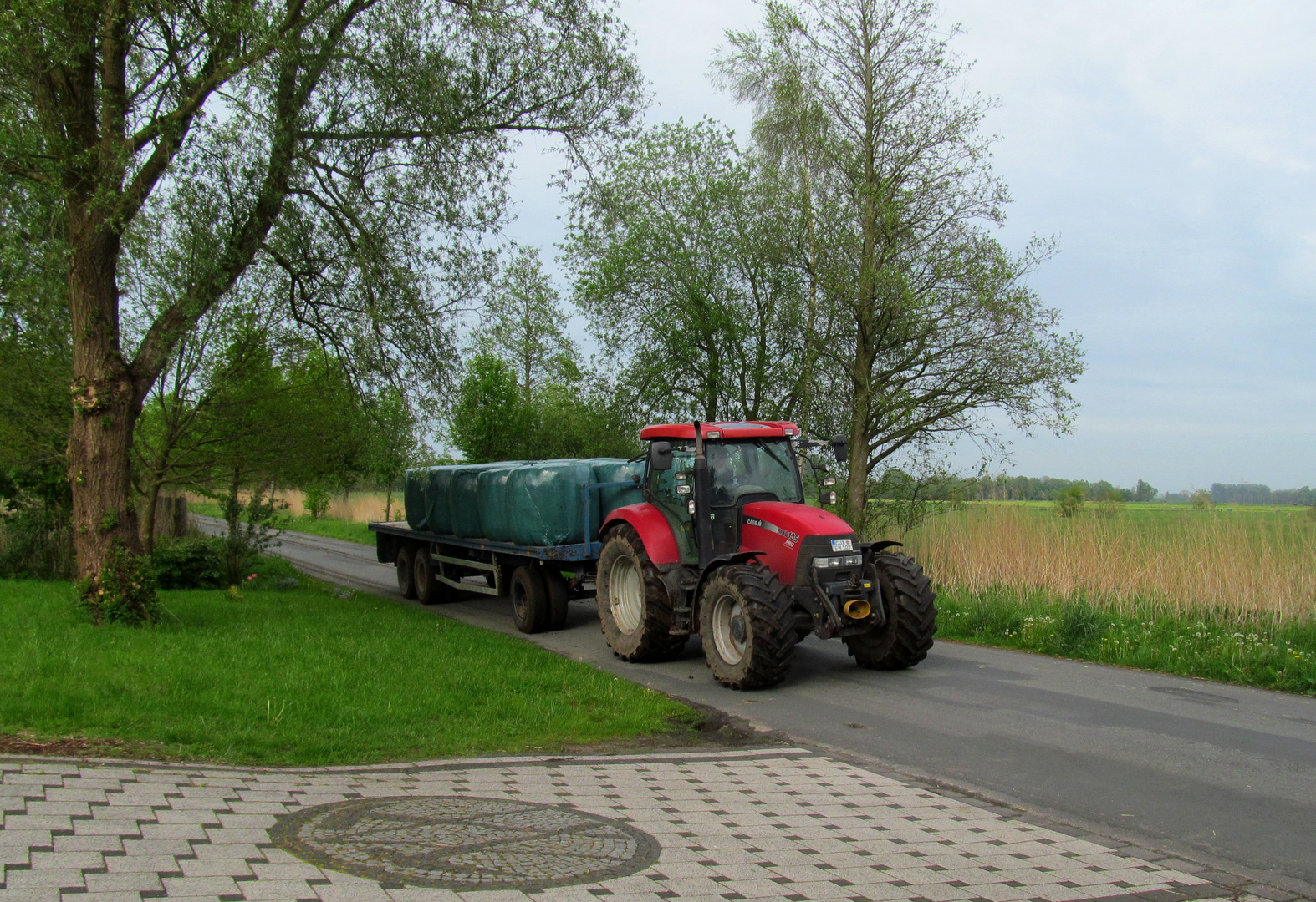 das Gras wird schon nach Hause geholt ...