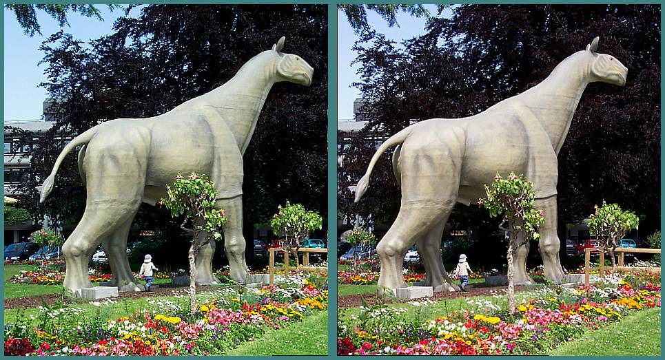 Das größte Säugetier aller Zeiten XBlick Foto & Bild stereoskopische raumbilder, erben der