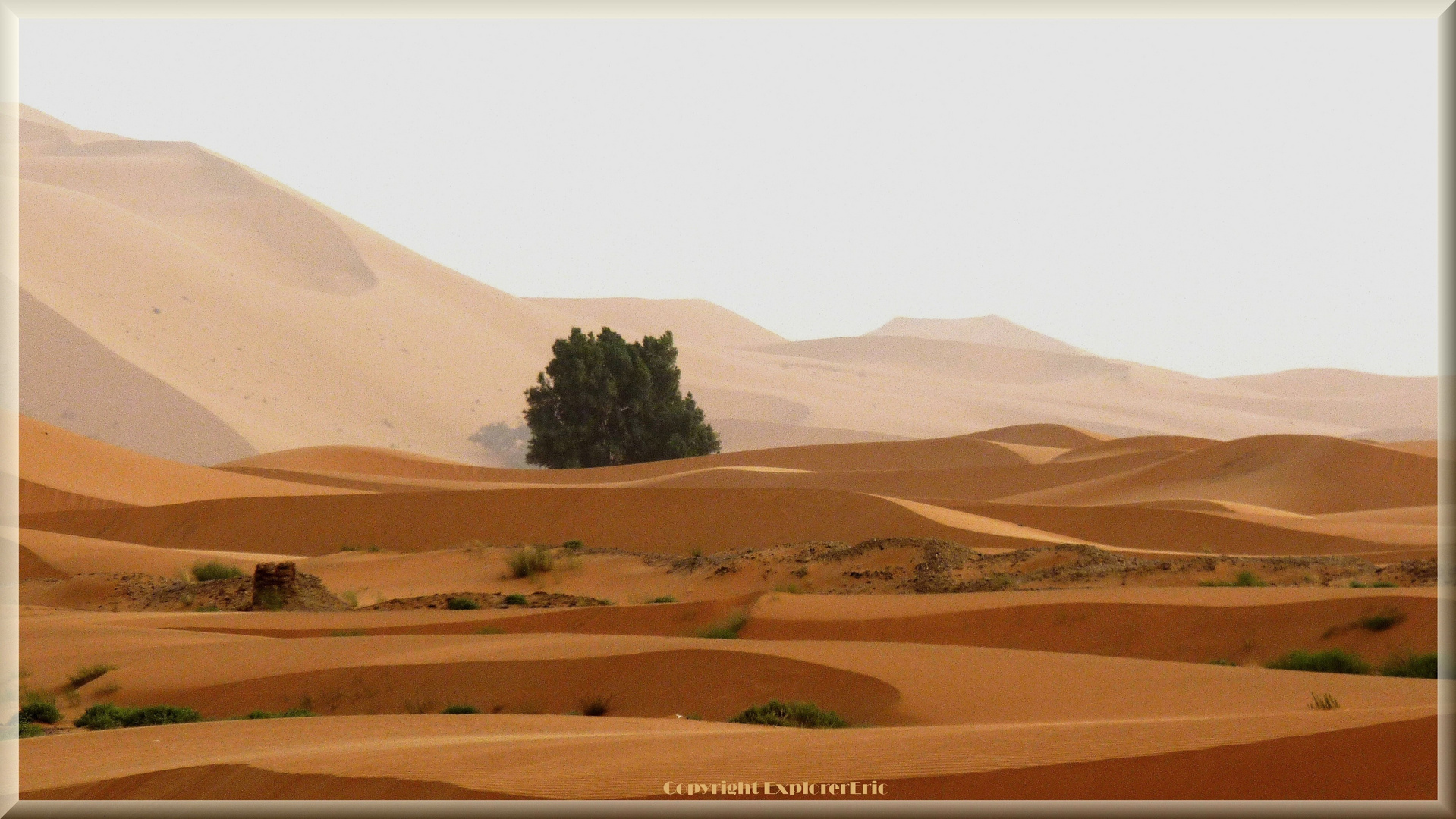 Das grösste Sandmeer der Welt: die Sahara