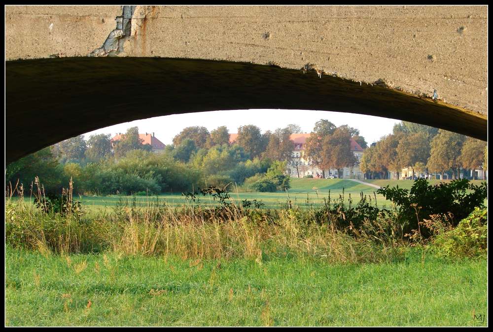 das große Auge