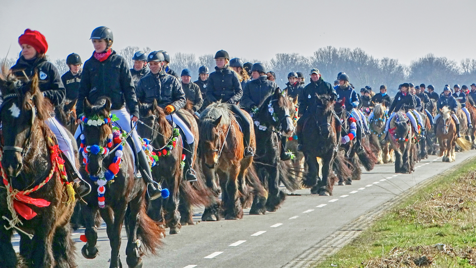 Das große Fest der Kaltblüter