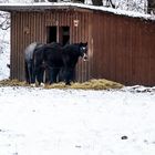 Das große Fressen