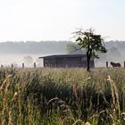 Das große Fressen kann beginnen ;-)