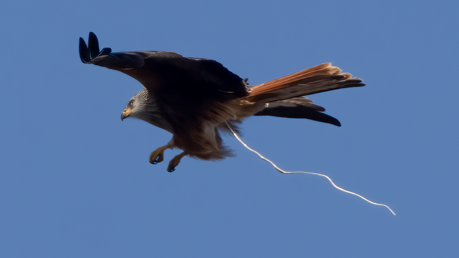 Das grosse "Geschäft* wurde im Flug erledigt