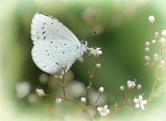 Das große Glück der kleinen Momente