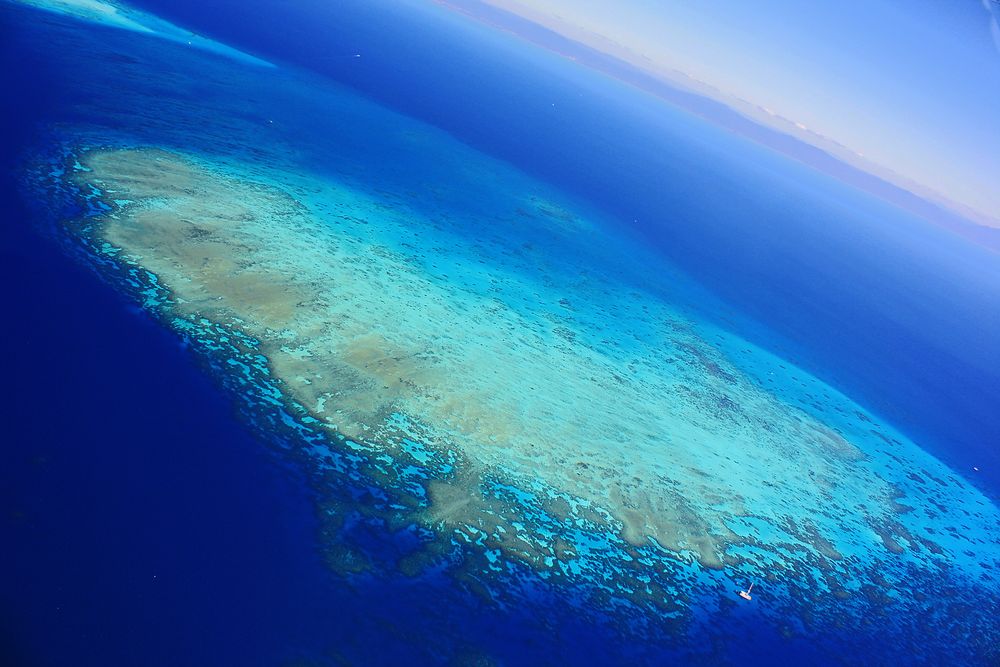 Das große Riff Foto & Bild australia & oceania, australia, queensland