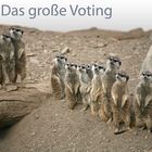 ~ Das große Voting ~