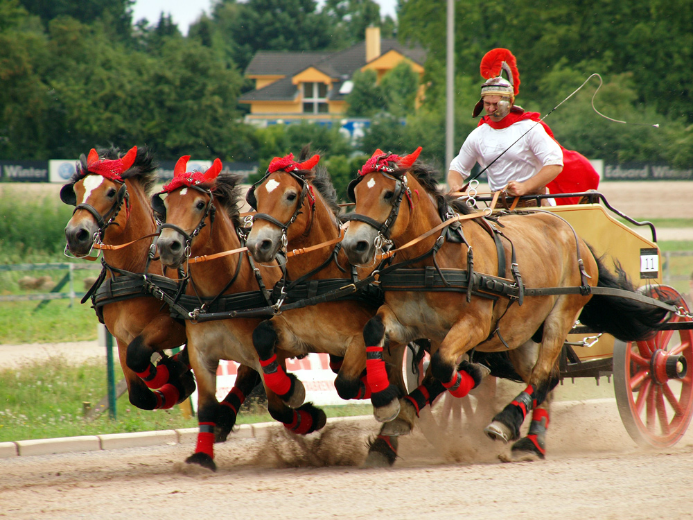 Das große Wagenrennen