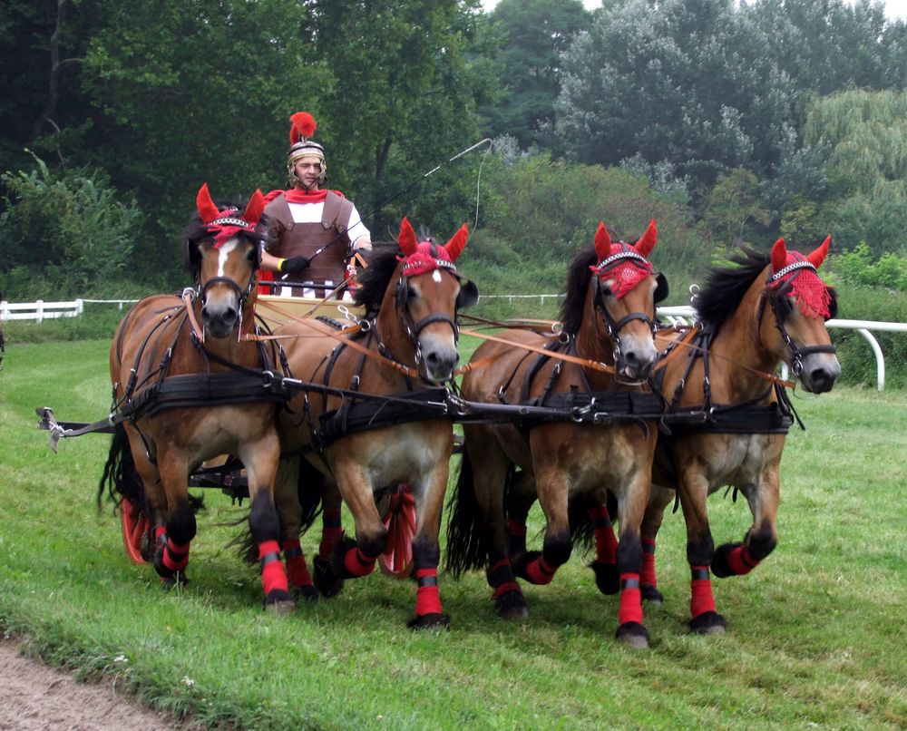 Das Große Wagenrennen - Pferderennbahn Halle