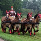 Das Große Wagenrennen - Pferderennbahn Halle