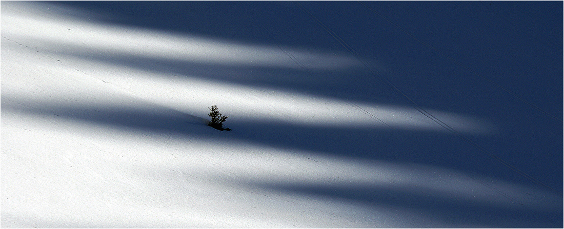 Das grosse Warten auf den Frühling