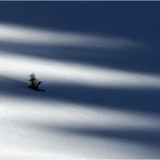 Das grosse Warten auf den Frühling