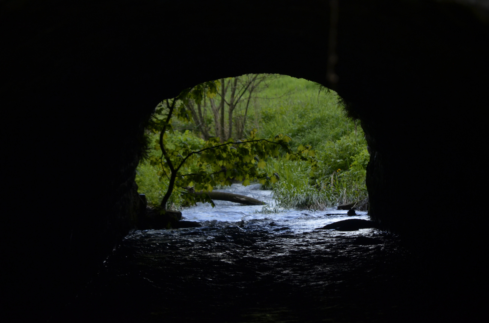 Das Grün am Ende des Tunnels