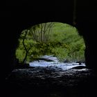 Das Grün am Ende des Tunnels