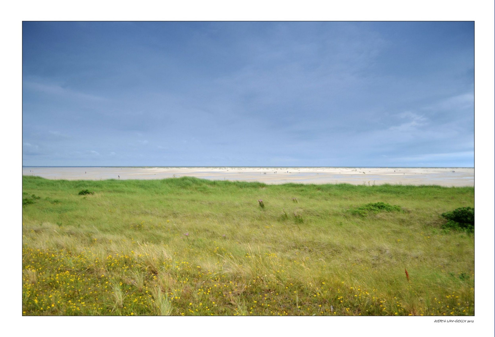 Das Grün am Strand ...