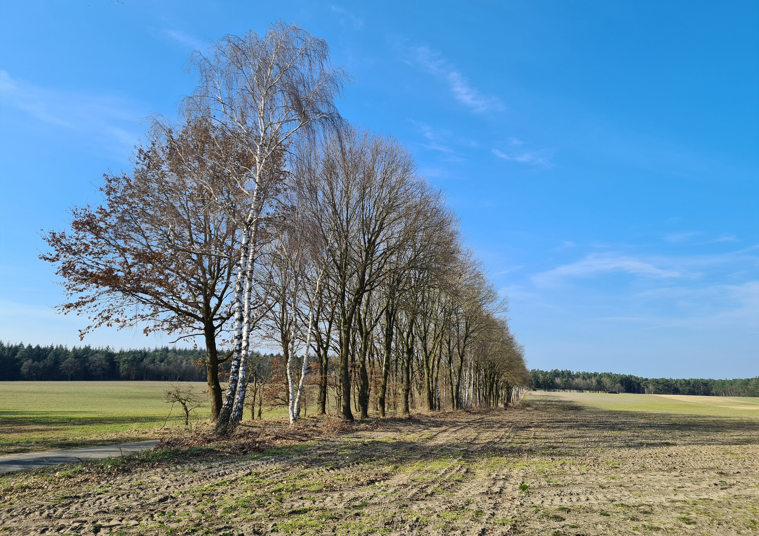 Das Grün der Bäume fehlt noch