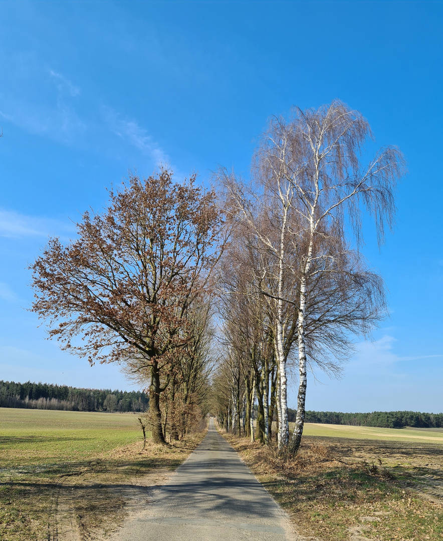 Das Grün der Bäume fehlt noch