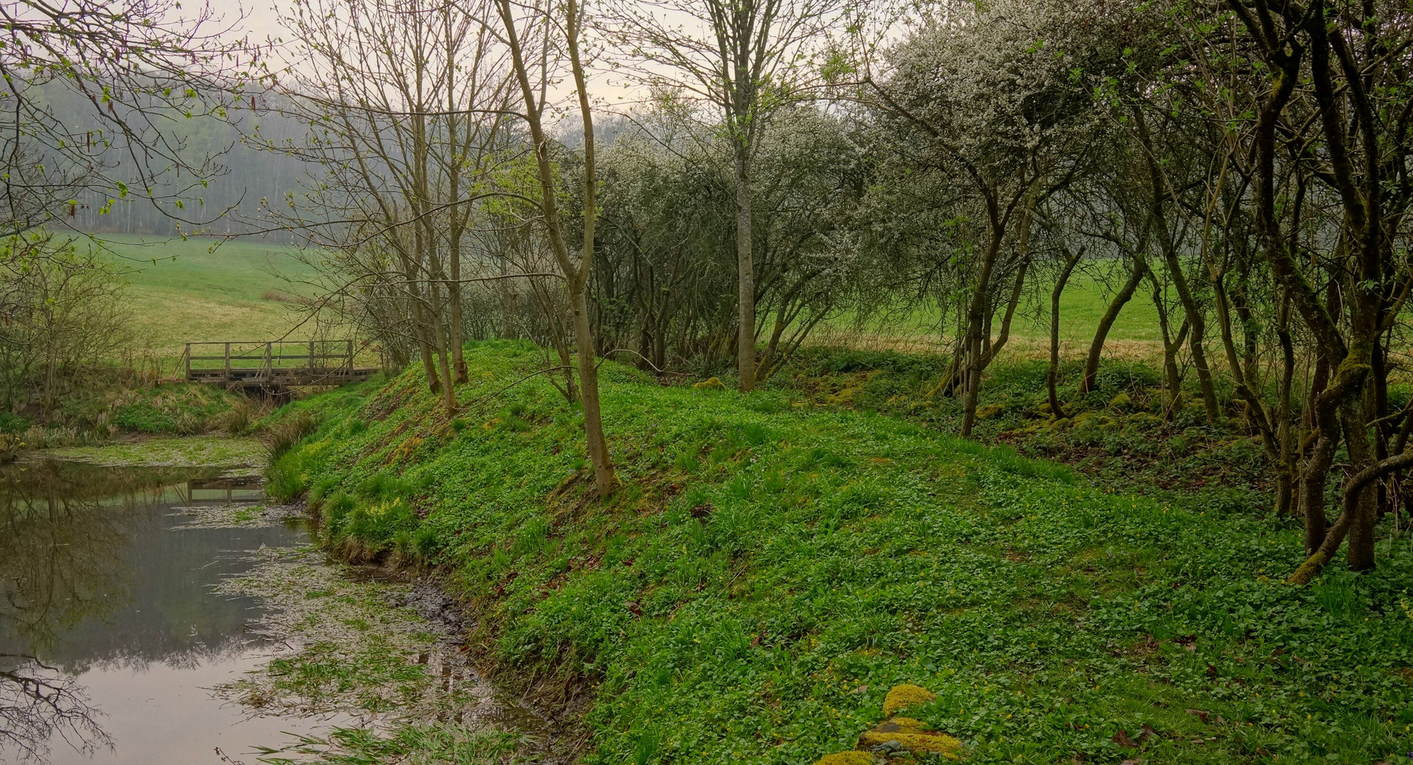 Das Grün des Frühlings IV (el verde de la primavera IV)