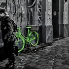 Das grüne Fahrrad