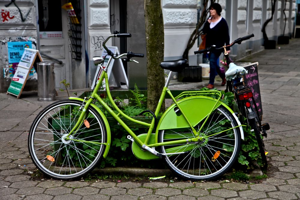 Das grüne Fahrrad