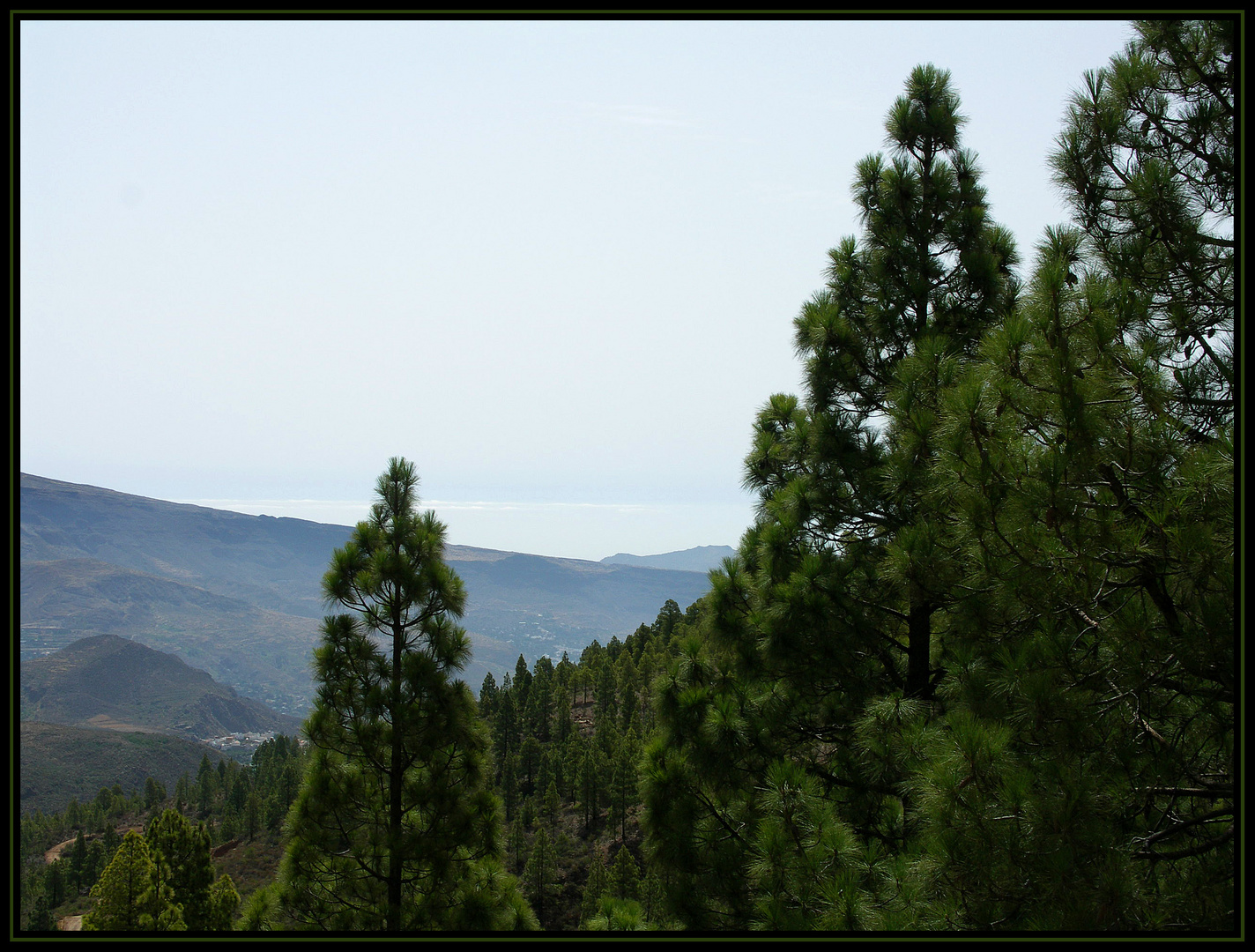 Das "grüne" Gran Canaria