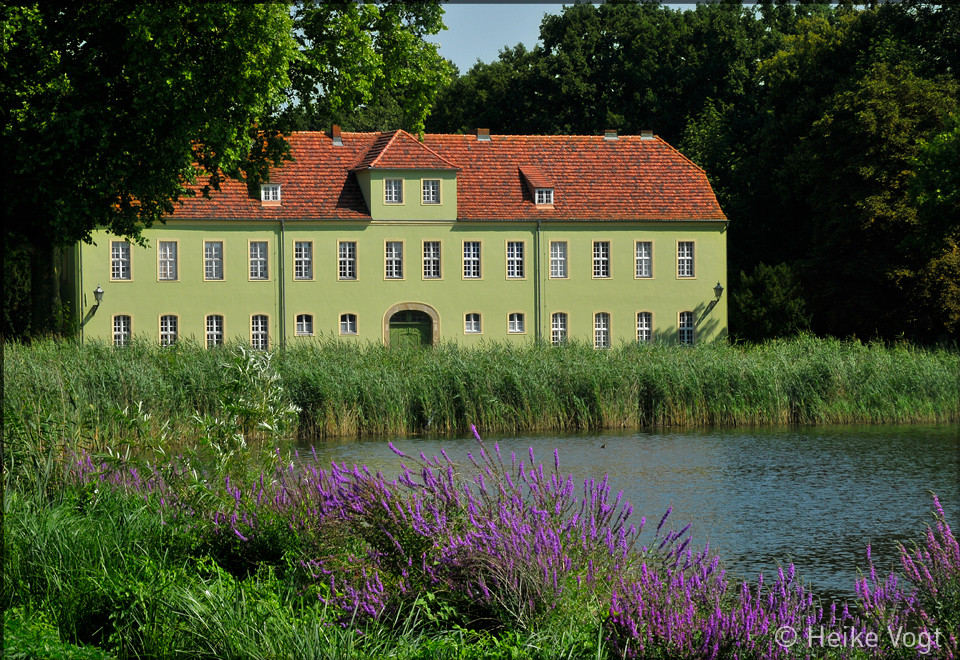 Das grüne Haus