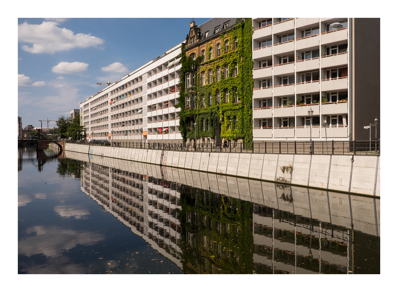 das grüne Haus