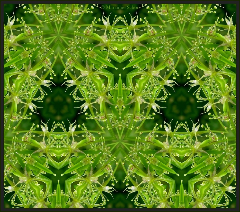 Das grüne Kaleidoskop
