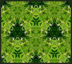 Das grüne Kaleidoskop