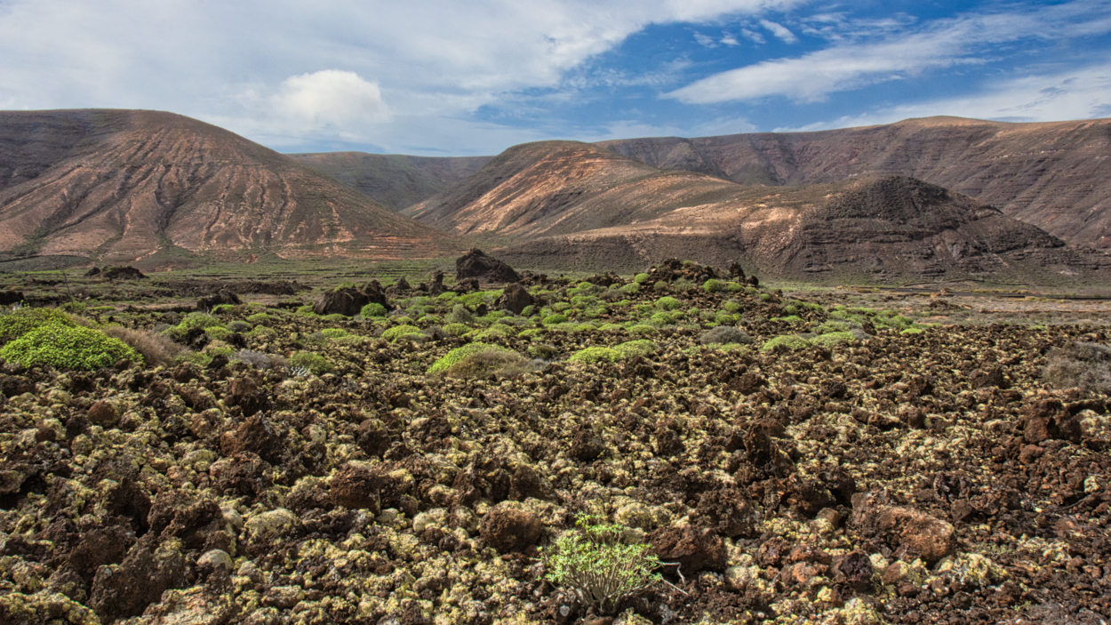 Das grüne Lanzarote