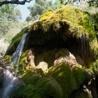 Das grüne Maul in den Gorges du Verdon